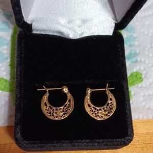14k Elegant Gold Hoop Earrings.